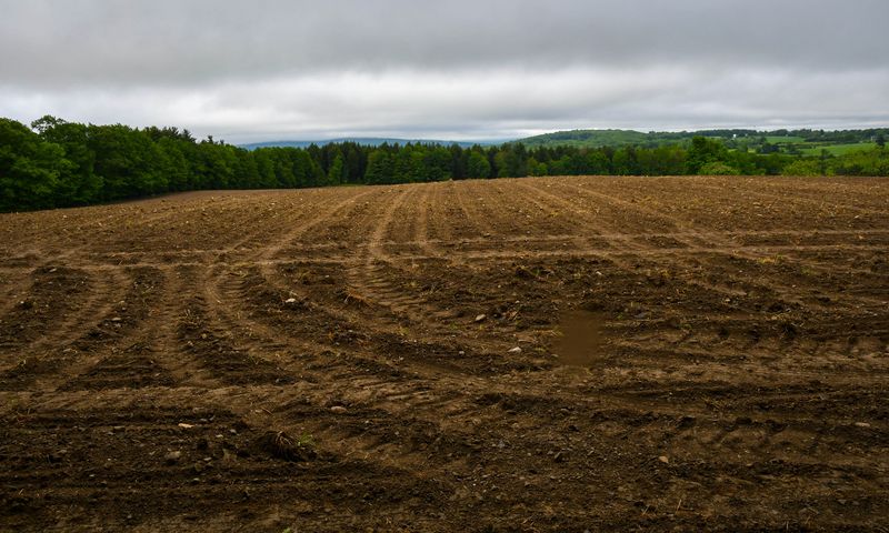 Cleared and graded land ready for construction near a lake in Arkansas