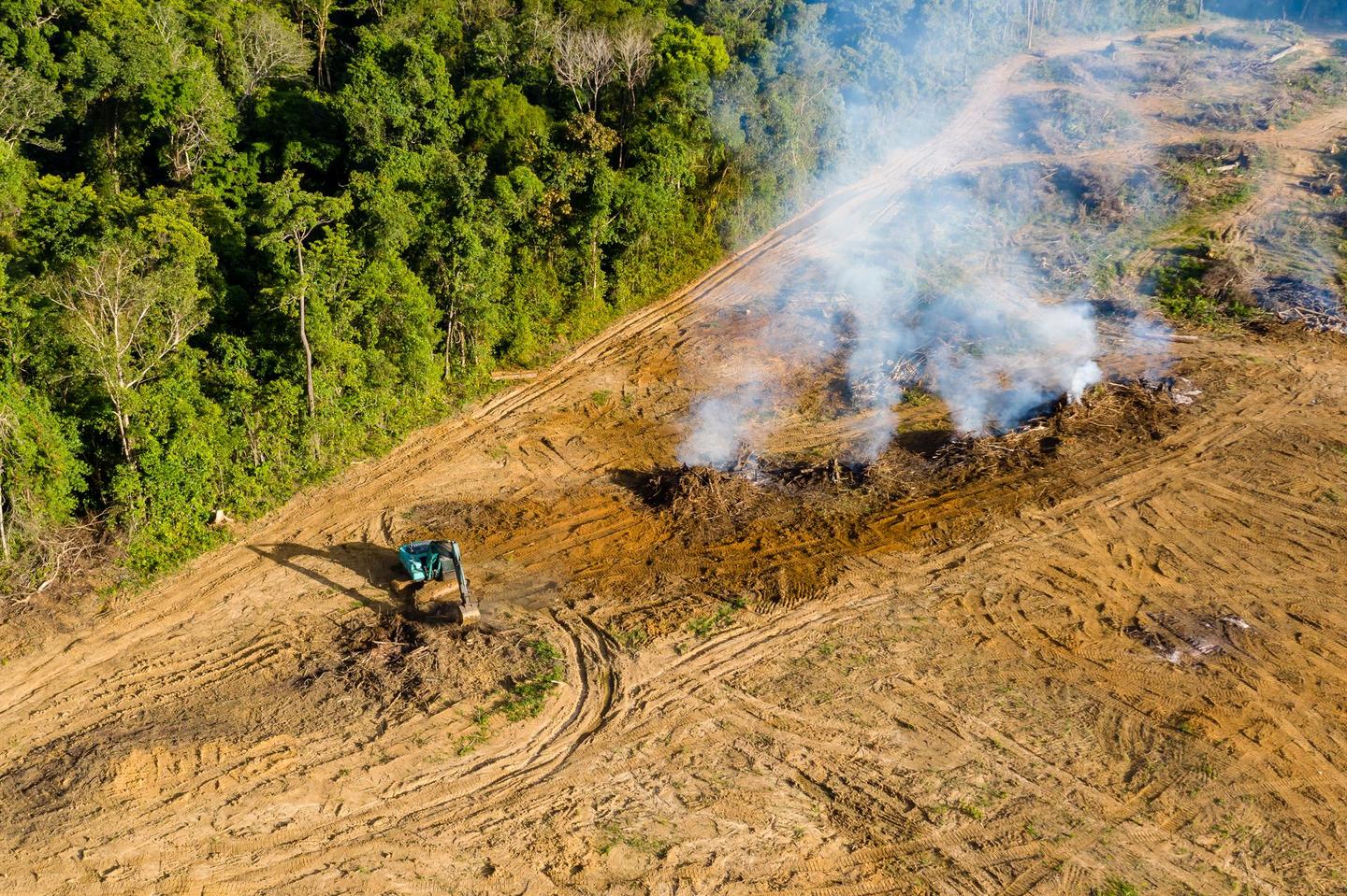 Heavy equipment on a land clearing job site in Arkansas