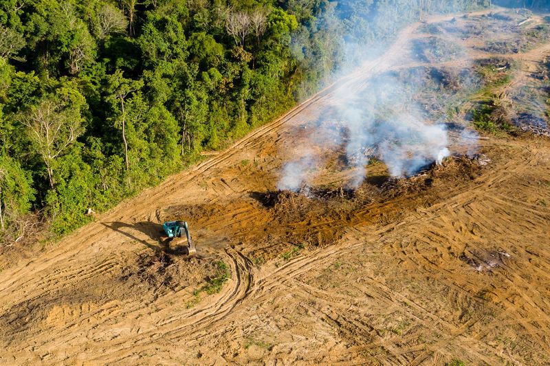 Brice Contracting tracked forestry mulcher working on a land clearing job in Arkansas