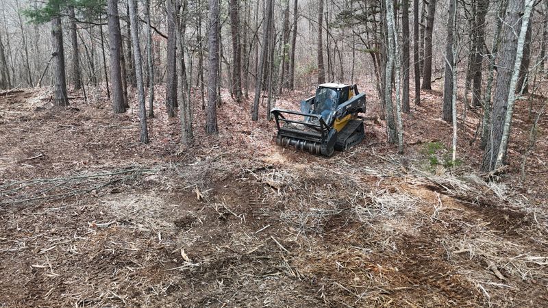 Forestry mulcher clearing brush on an Arkansas job site